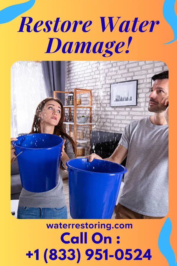 water restoration Elite Damage Restoration Services New Albin