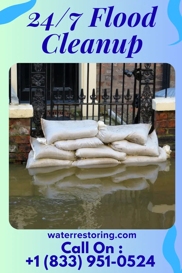 24/7 Flood Cleanup in New Albin, IA