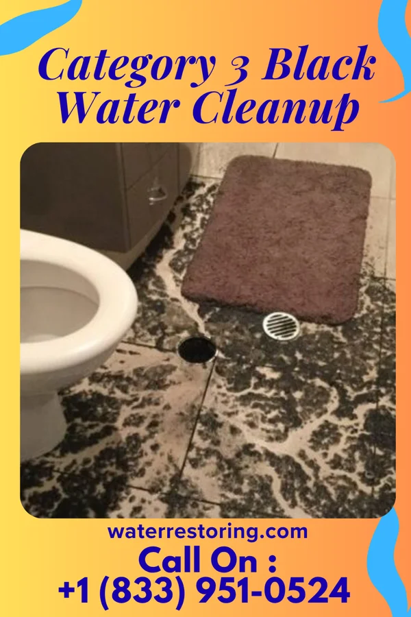 Category 3 Black Water Cleanup in New Albin, IA