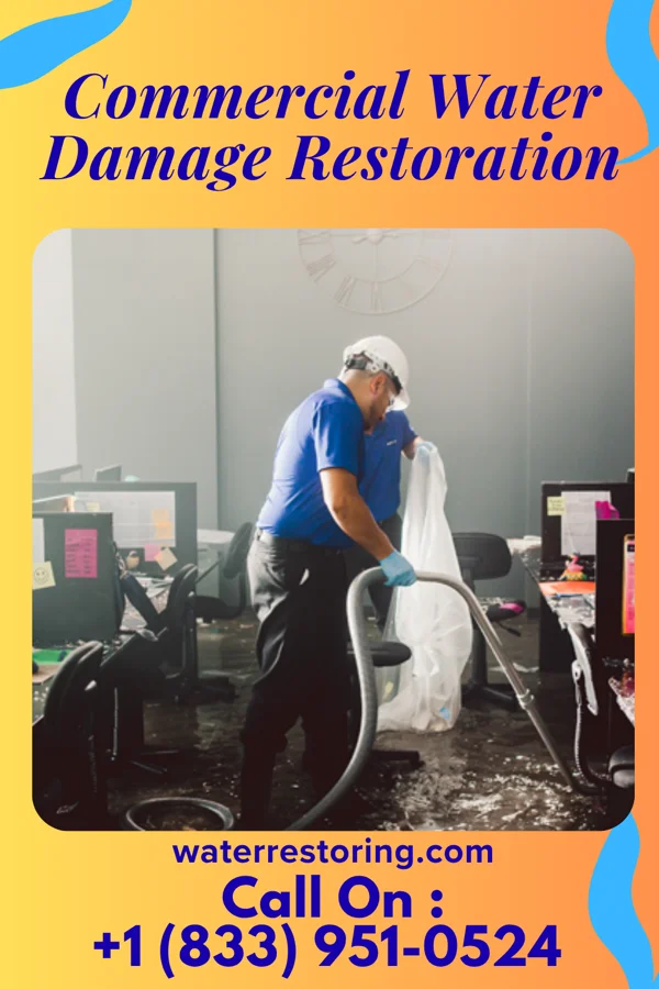 Commercial Water Damage Restoration in New Albin, IA